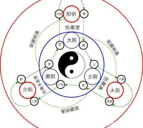 六合中宝一四闻 弄虚作假不适宜打一生肖请全面释义、解释与落实、专家解答解释落实