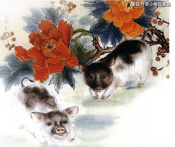 日落西山遇神仙,红波当旺四十来是什么生肖仔细释义、解释与落实、全面解答解释落实