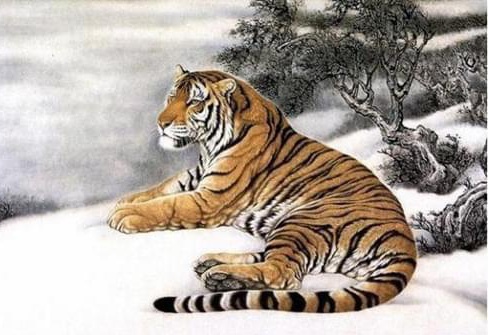 如日中天一定吉是什么生肖、警惕虚假宣传-全面释义、统计解答解释落实