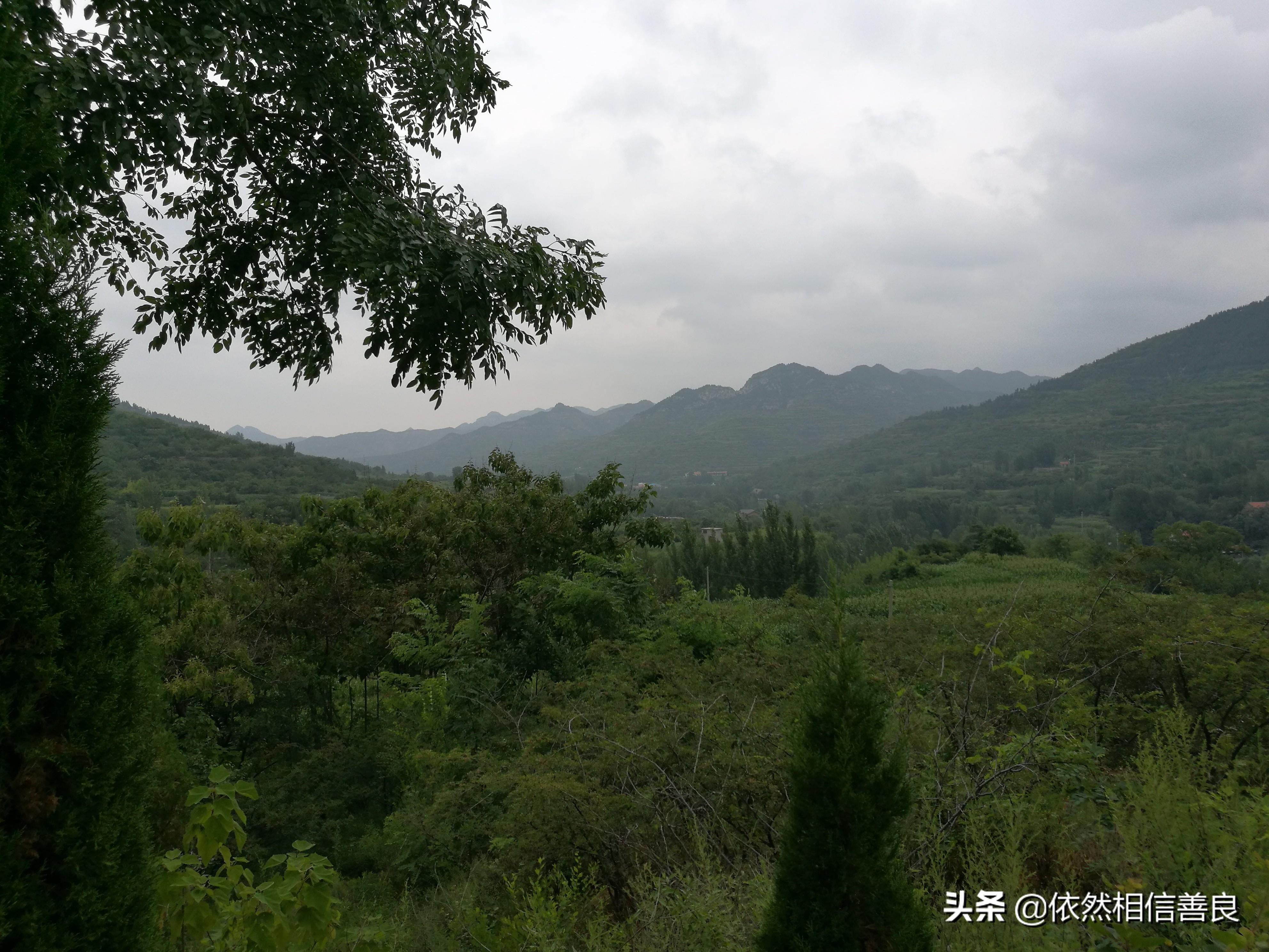 深山老林绿水流打一正确生肖详细解答、解释与落实、实时解答解释落实
