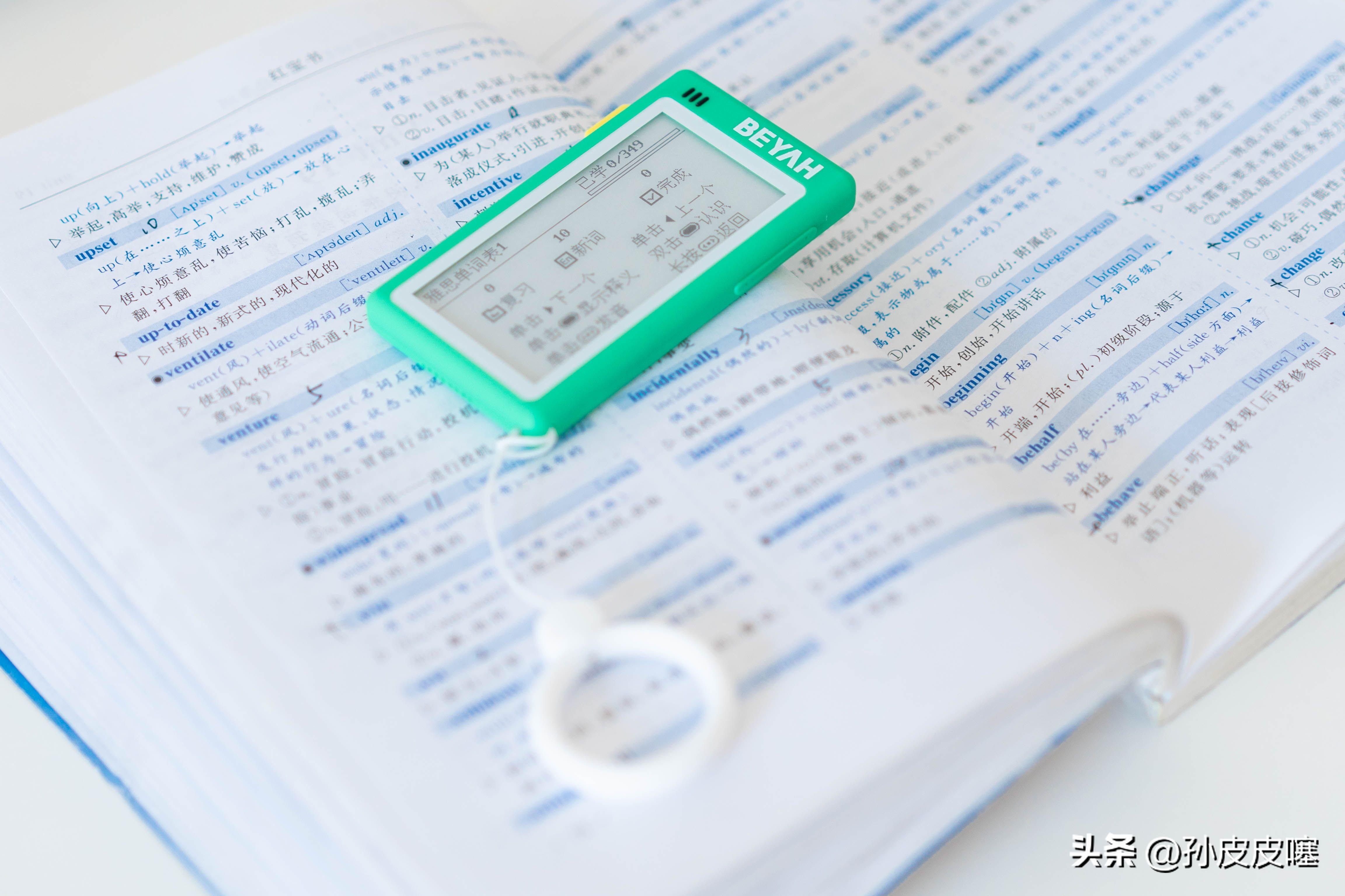天下乌鸦一般黑打一个准确生肖，全面释义、深度解答解释落实